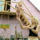 Illustration for article titled Are The Russians Training 17-Day-Old Babies To Be Gymnasts?